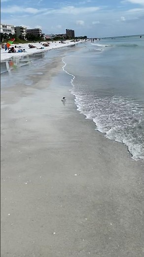 Indian Rock Beach-Florida #floridalife #floridabeaches