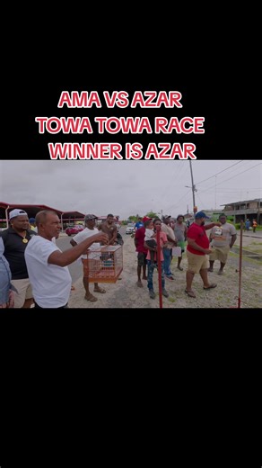 AMA vs Azar Towa Towa Bird Race at Alligator Park - Azar Wins!
