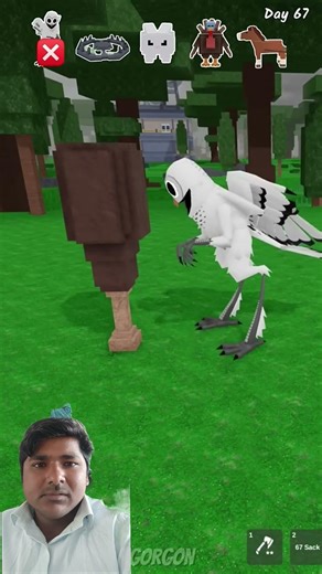 Trolling Owl #99nightintheforest #roblox