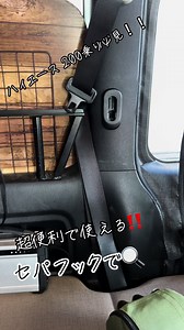 TikTokでHOGGLEさんをチェック！