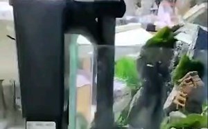 402(403)过滤器安装视频