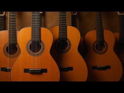 Night Café Flamenco ☕🔥 | Spanish Guitar Background Ambience (LIVE)