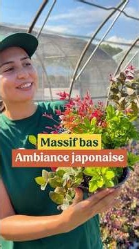 Massif japonais : 3 arbustes persistants à associer pour un petit jardin coloré