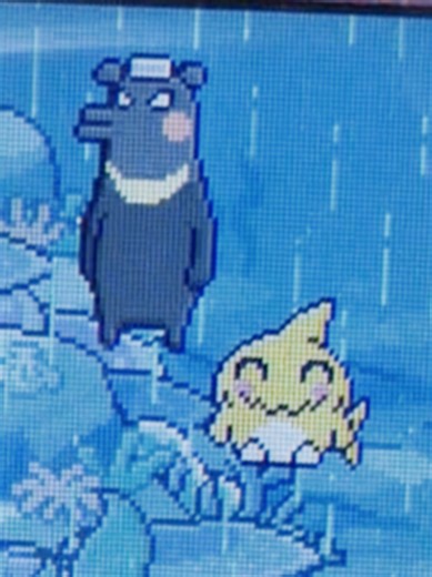 Cursed but Cute: Mametchi and Sharktchi Moments