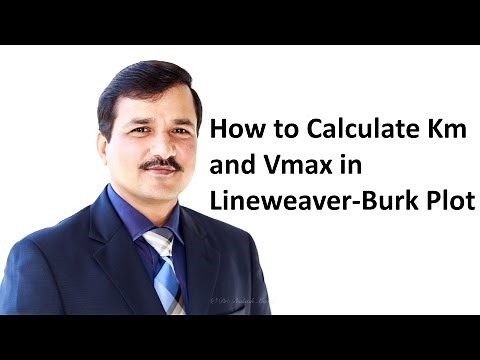 How to Calculate Km and Vmax using Lineweaver Burk Plot