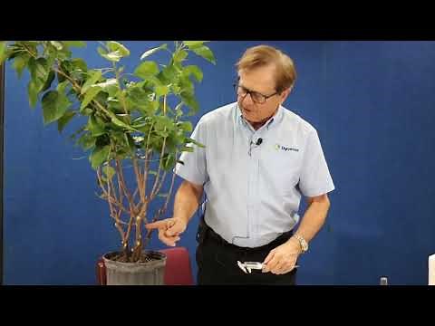 Dynamax SGEX Sap flow Sensor Installation, with tools & tips