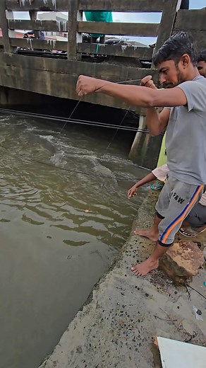 Suddenly a BIG Fish Catch #fishing #fishingvideos #thoondilulagam #lakefishing | Thoondil Ulagam - Fishing