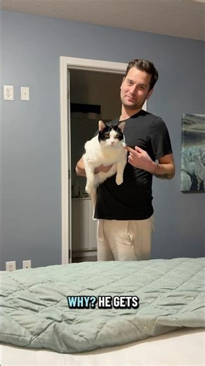 The little bear hug😭 Goodnight wonky tribe! #cats #goodnight #catcow #wobblycat #charliebear