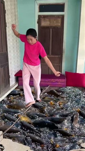 Huge fish tank appeared while Hana slept