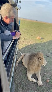 A truly special moment today in the Masai Mara where Andrew Danckwerts is currently hosting The Masai Mara Experience safari. Guests are truly experiencing the wonder of this magical place! DM us to join us and experience it for yourself! #WildEyeSA #africa #kenya #MasaiMara #extraordinarysightings #Wildlife #WildlifeSightings ##Travel #Lion | Wild Eye