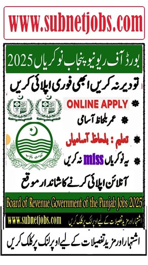Board of Revenue Punjab Jobs 2025 | BOR Jobs 2025 | Latest Govt Jobs in Pakistan | Apply Now
