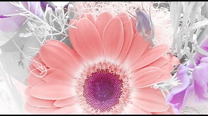 Photoshop: Transform a photo using apply image