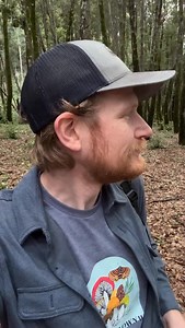 17K views · 1.2K reactions | Tune into the secret soundtrack of...