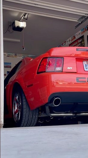 2004 mustang cobra terminator SVT competition orange Borla stingers