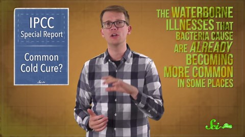 Our oceans aren’t doomed yet? | SciShow News