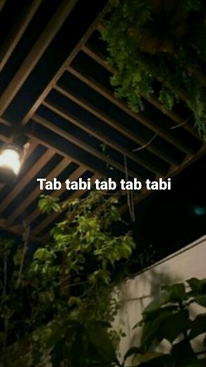 𝙕𝙖𝙧𝙚𝙚𝙣🥂 on Instagram: "Tab tabi tab tab tabi tab 😭😂 . . . #discpline#instagramgrowth#igreach#instagramhacks#explore#createtoconvert#focus"