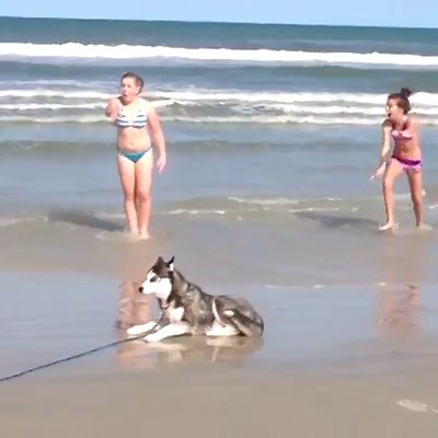 "I can do a cartwheel too!" 😂😍 | VT