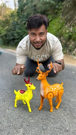 Remote Control Duita Rc Deer Unboxing And Testing