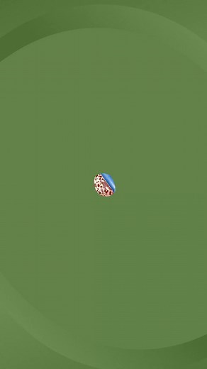 64K views | Roundup exposure has been connected to serious blood cancers in thousands of Americans, causing $16 Billion to be set aside by the manufacturer for victims. You may qualify for compensation if you developed these cancers after Roundup use: ✅ Non-Hodgkin's Lymphoma ✅ Chronic Lymphocytic Leukemia (CLL) ✅ B-Cell Lymphoma ✅ T-Cell Lymphoma ✅ Other related blood cancers GET YOUR FREE CASE EVALUATION NO COST - NO OBLIGATION | Free Legal Reviews | Facebook