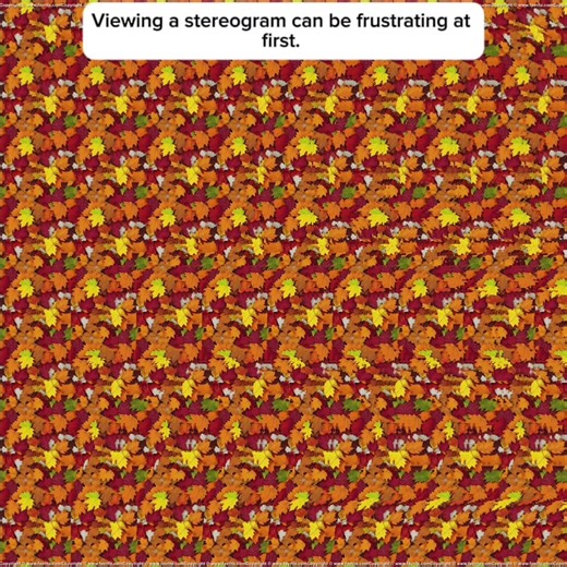 Viewing a stereogram (often called a Magic Eye) can be frustrating at first. It requires you to override your natural instinct to focus on the surface of the image. Most stereograms use the
