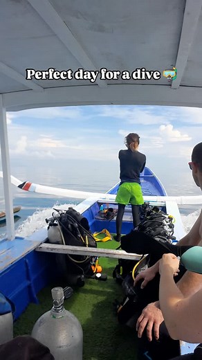 Secret Gilis offers 19 dive sites, healthy corals and buzzing with marine life - book a dive for an amazing experience! | The High Dive Gili Gede
