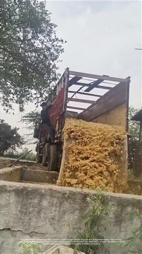 Unloading the Goods: How Efficient Logistics Keep Supply Chains Moving