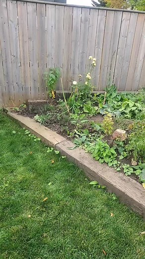 Shawn Raymond850 on TikTok