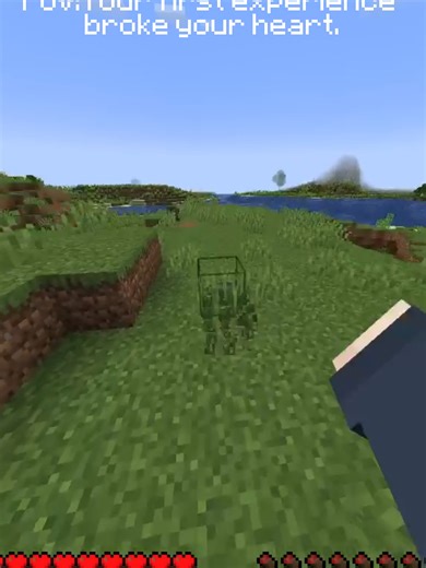 Explora el mundo infinito de Minecraft