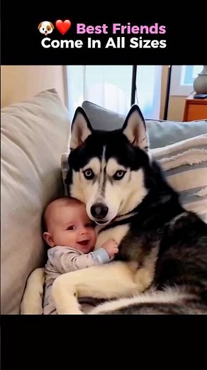 The Sweetest Kids & Dogs Moments Ever ❤️🐶