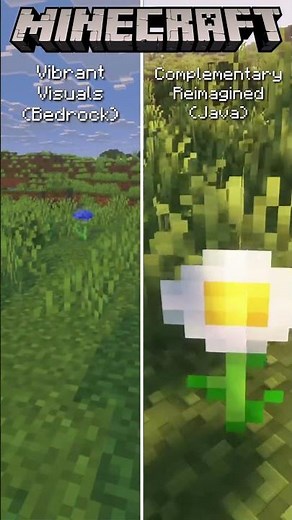 Minecraft Vibrant Visuals vs Complementary Reimagined