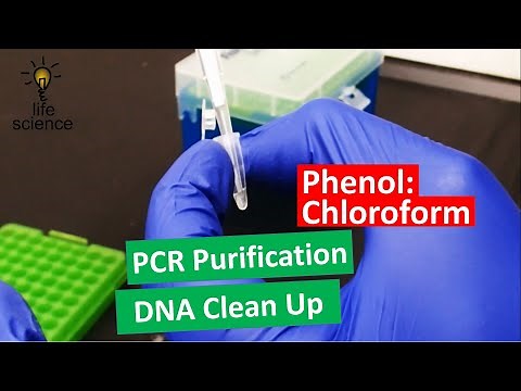 DNA Extraction - Improved Phenol:Chloroform Method