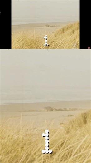 Oregons exploding wale of 1970 #greyble #whale