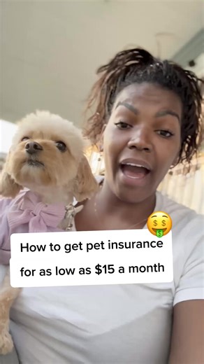 I didn’t realize peace of mind could cost just $15/month. Got a pet insurance plan that’s actually affordable—and now I don’t stress every time my dog eats something weird 😅 | BestMoney Pet Insurance