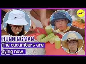 [RUNNINGMAN] The cucumbers are dying now. (ENGSUB)