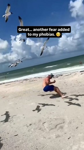 Travel tip: Stay cautious around seagulls. They sometimes get aggressive while stealing food and can cause minor injuries . . #travel #summer #traveling #sea #coastal #beach #seagull | Carryme.theofficial