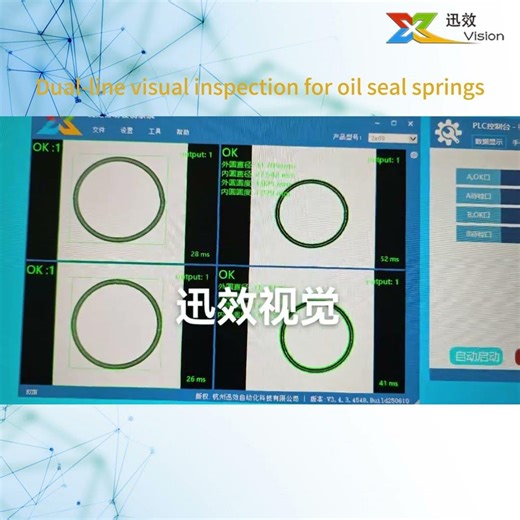 Double line visual inspection of oil seal springs #machinevision # #ccdinspection #quickinspection