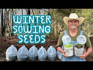 How to Winter Sow Seeds for a Huge Spring Garden!