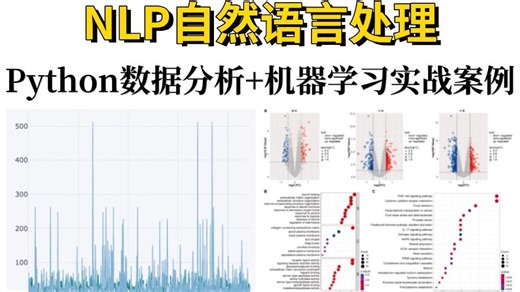 【NLP自然语言处理】B站最新讲的最好的Python数据分析与机器学习实战集锦，从基础到实战，学完这一套项目可写进简历！（人工智能/NLP）