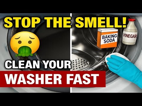 How to Clean a Front Load Washer (Stop Mold, Mildew & Bad Smells!)