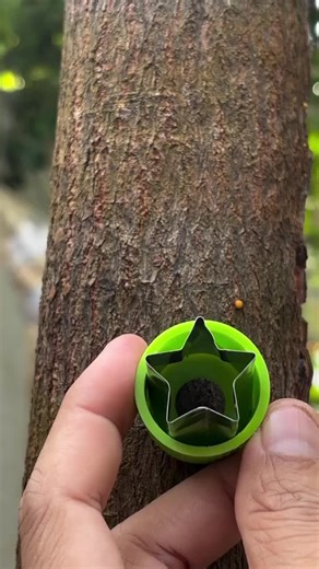 simple._.motivation🥰 (@simple._.motivation_200)’s videos with original sound - UpMentality