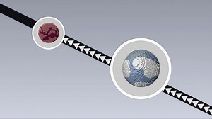 Brain to Machine Interface: Future A to Z – Lifeboat News: The Blog