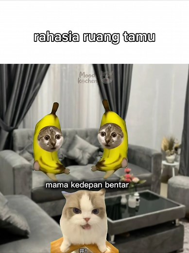 Rahasia Ruang Tamu: POV Pacaran😺