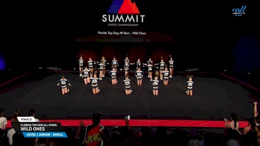 Florida Top Dog All Stars - Wild Ones [2025 L1 Junior - Small Finals] 2025 The Summit
