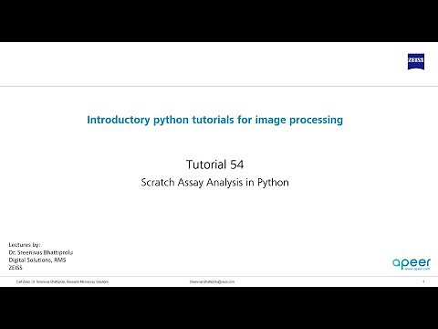 Tutorial 54 - Scratch assay analysis in python by using texture for segmentation