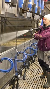6.8M views · 10K reactions | Girls Keep a Danish Cow Farm Clean #farm #cow #cleaning #farm #farmlife #farming #agriculture #nature #farmer #agro #tractor #country #photography #countrylife | Eliana Ivy | Facebook