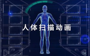 人体器官扫描动画