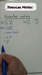 Singular Matrix Explained