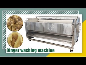 Ginger Peeling And Washing Machine Price Ginger Peeler