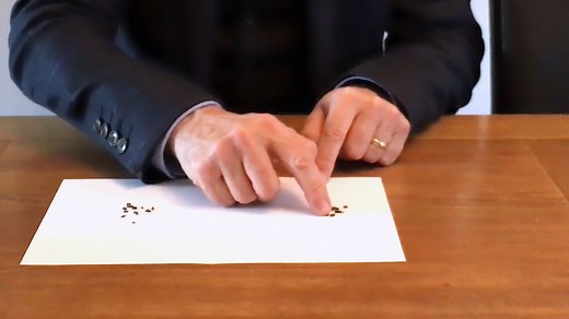 How to tell the difference between bat droppings and mice droppings