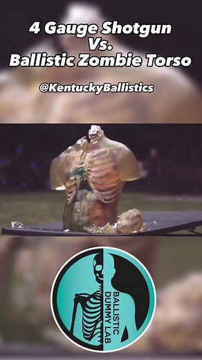 One from @Kentucky Ballistics Wonderful highspeed of the Ballistic Zombie Torso! If you like content like this head to our YouTube Page! Link in bio! #ballisticdummylab #educational #ballisticgel #zombie #russian #kentuckyballistics #fyp